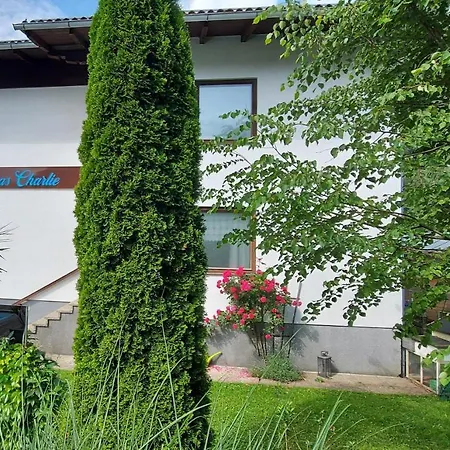 Apartment Charlie Ebensee