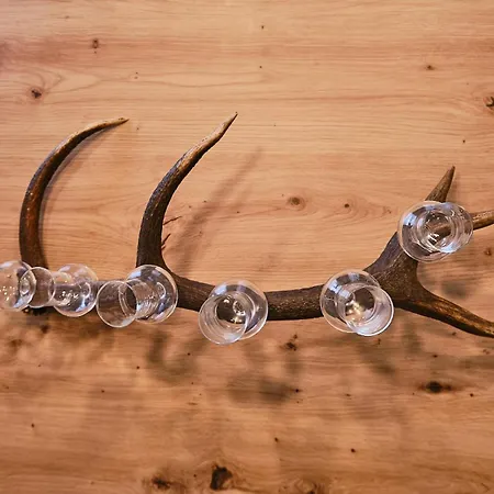 Charlie Apartment Ebensee