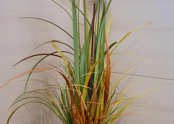 Apartmán Charlie Ebensee