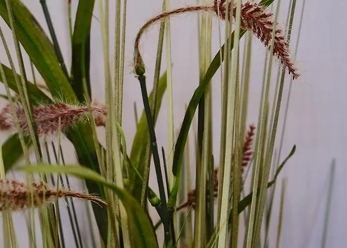 Charlie Apartmán Ebensee