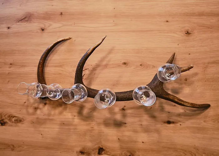 Charlie Apartmán Ebensee